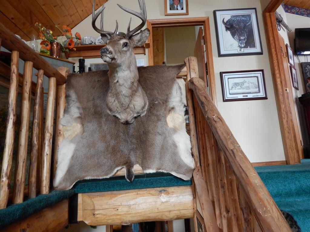 Idle Spurs Log Cabin Bed & Breakfast Black Diamond Dış mekan fotoğraf