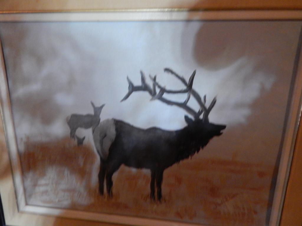Idle Spurs Log Cabin Bed & Breakfast Black Diamond Dış mekan fotoğraf